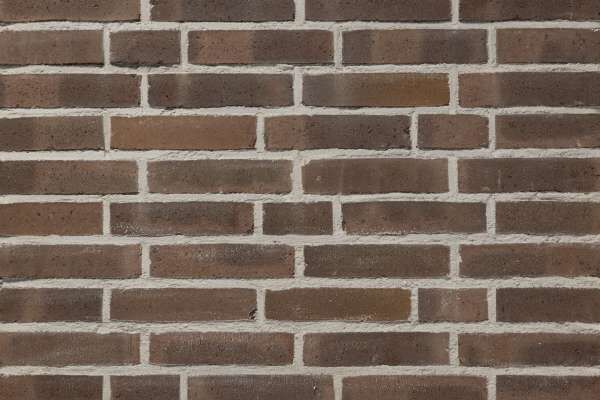 Wasserstrich-Klinker / Verblender BK-103-260-WF (Waalformat-Klinkerstein (WF)) braun bunt