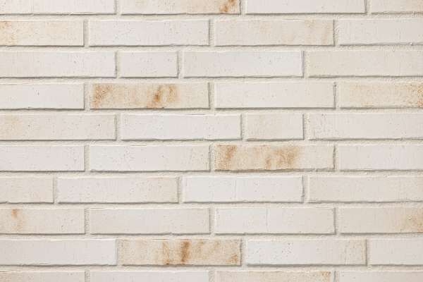Strangpress-Klinker / Verblender BK-104-218-DF (Dünnformat-Klinkerstein (DF)) creme bunt