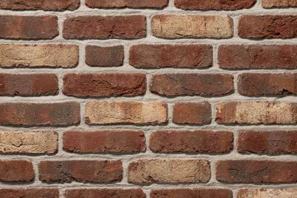 Handform-Klinker / Verblender BK-104-228-NF (Normalformat-Klinkerstein (NF)) rot bunt