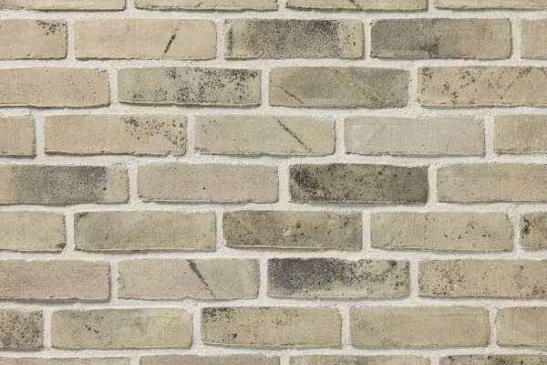 Wasserstrich-Klinker / Verblender BK-128-162-ModF (Modulformat-Klinkerstein (ModF)) grau grün bunt