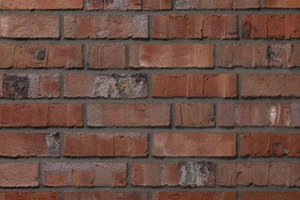 Wasserstrich-Klinker / Verblender BK-104-216-NF (Normalformat-Klinkerstein (NF)) rot bunt