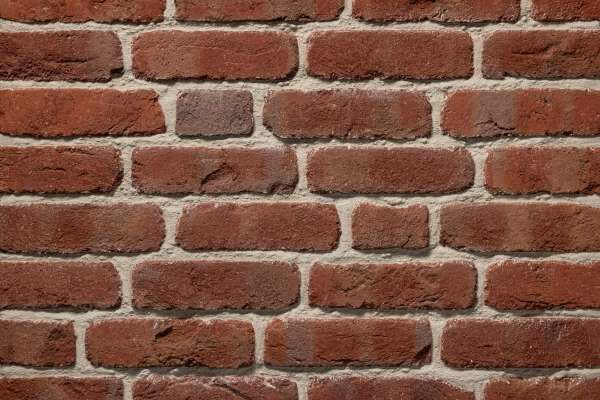 Handform-Klinker / Verblender BK-104-225-NF (Normalformat-Klinkerstein (NF)) rot bunt