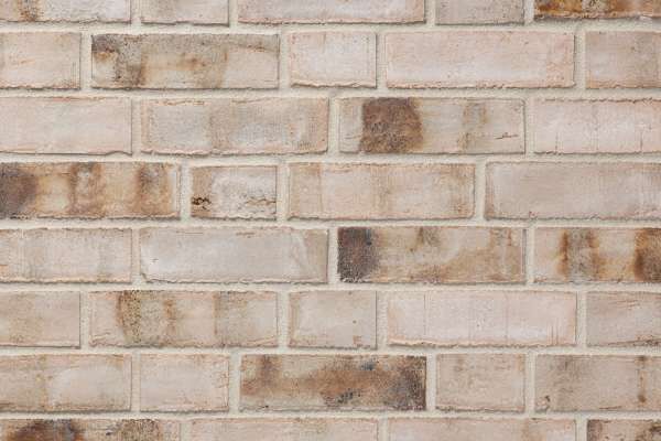 Wasserstrich-Klinker / Verblender BK-101-233-NF (Normalformat-Klinkerstein (NF)) beige braun bunt