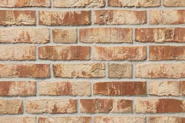 Handform-Klinker / Verblender BK-104-213-NF (Normalformat-Klinkerstein (NF)) rot beige bunt