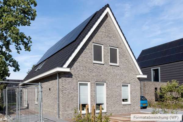 Einfamilienhaus H23 mit Klinker 103-112-WDF grau-bunt