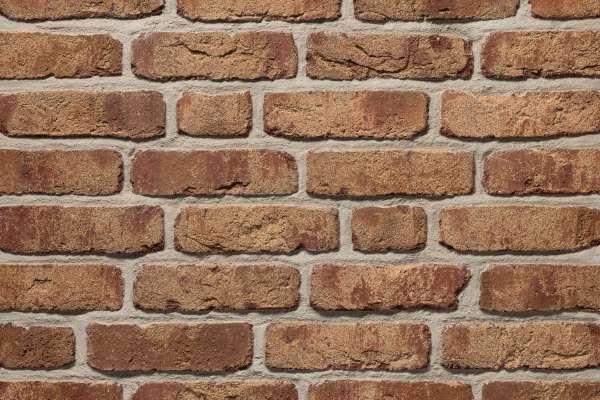 Handform-Klinker / Verblender BK-104-226-NF (Normalformat-Klinkerstein (NF)) rot beige